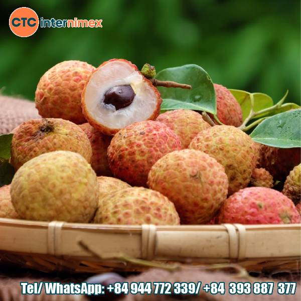 Vietnamese Lychee Export: Premium Fresh Fruit Supplier